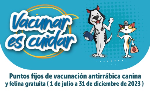 Secretaría de Salud recibió 80 mil dosis contra la rabia para perros y gatos y reactiva vacunación masiva en Bogotá
