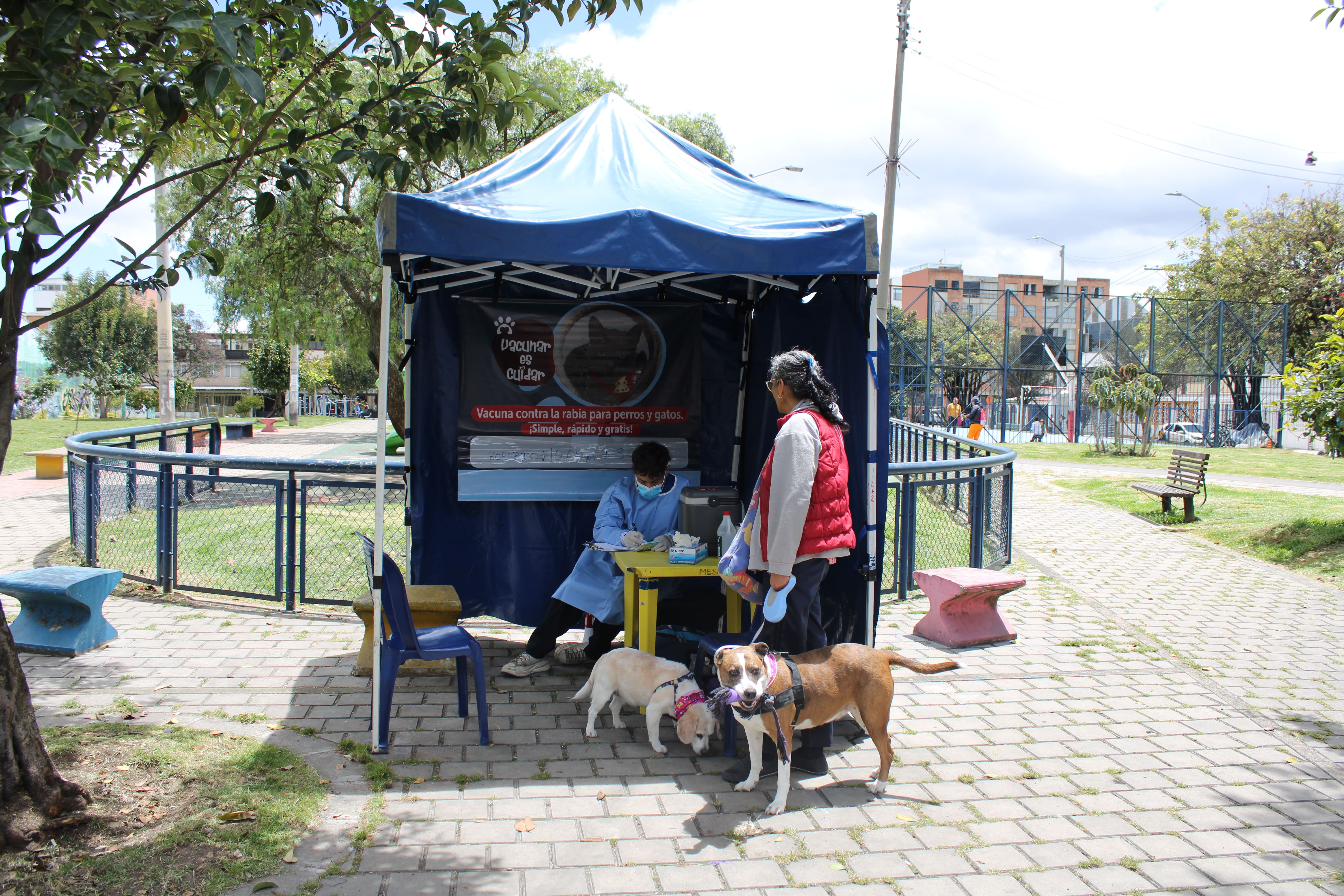 La Secretaría Distrital de Salud de Bogotá ofrece vacunación antirrábica gratuita para perros y gatos en puntos fijos